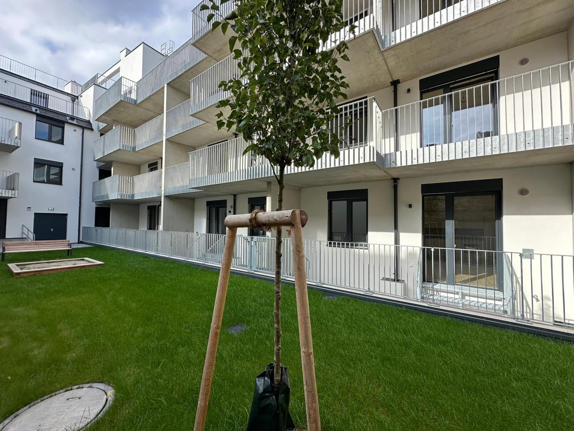 Apartment Schoenbrunn Garden Vienna